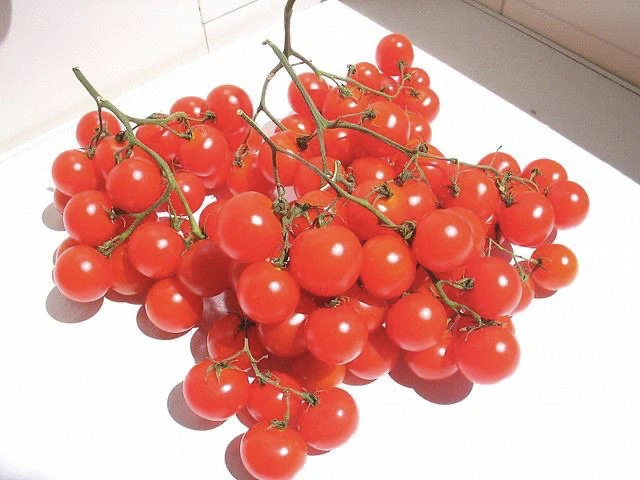 10 riesentraube
