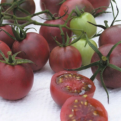 3 black cherry