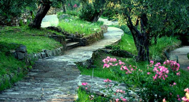 Jardin