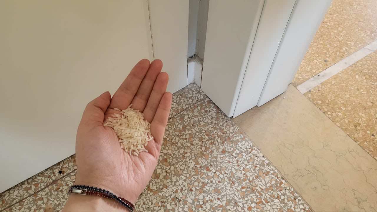 Riz dans les coins de la maison