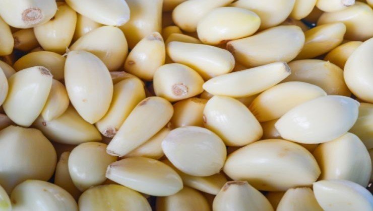 gousses d'ail pelées