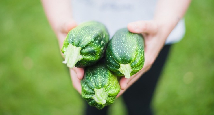 Zucchine, come prendersene cura Courgettes, comment en prendre soin