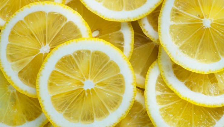 citrons citrons