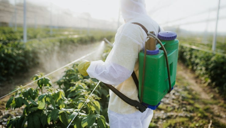 L'uso dei pesticidi nella catena alimentare L’utilisation des pesticides dans la chaîne alimentaire
