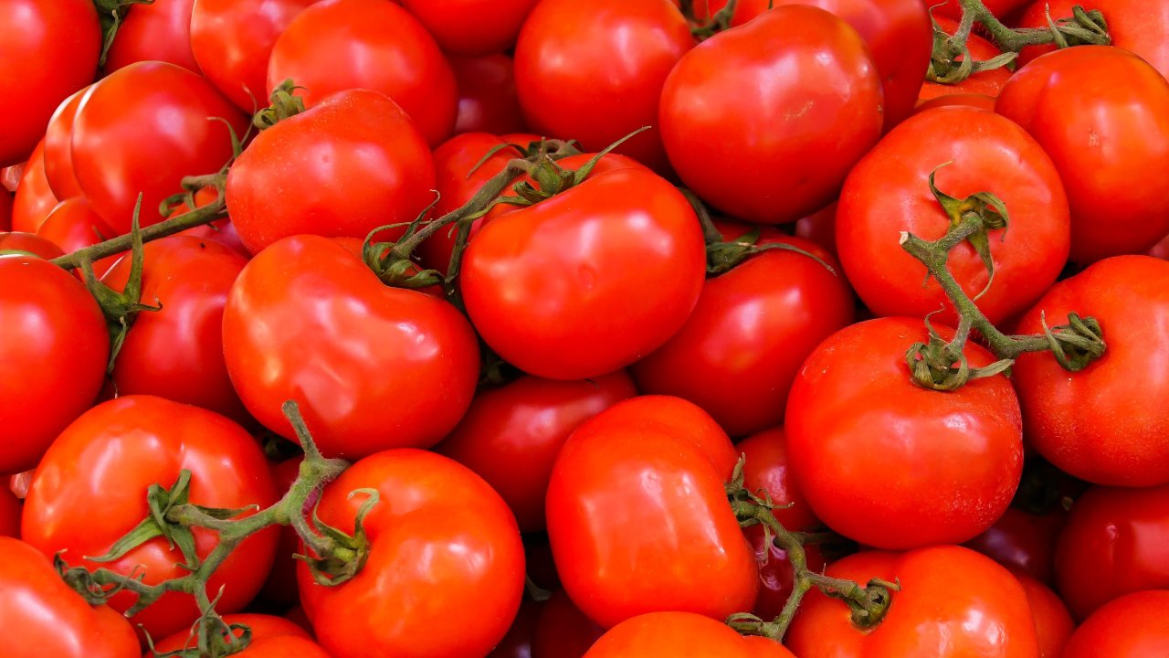 Comment conserver les tomates pendant une longue période
