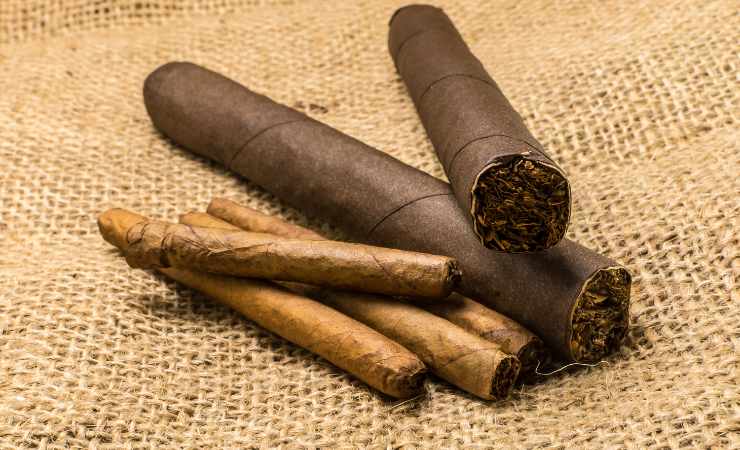 Tabac à cigares