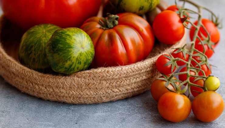 Types de tomates Types de tomates