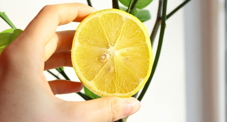 Citron