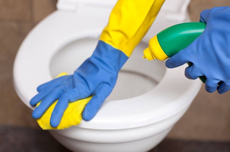 Macchie gialle del WC Taches de toilette jaunes