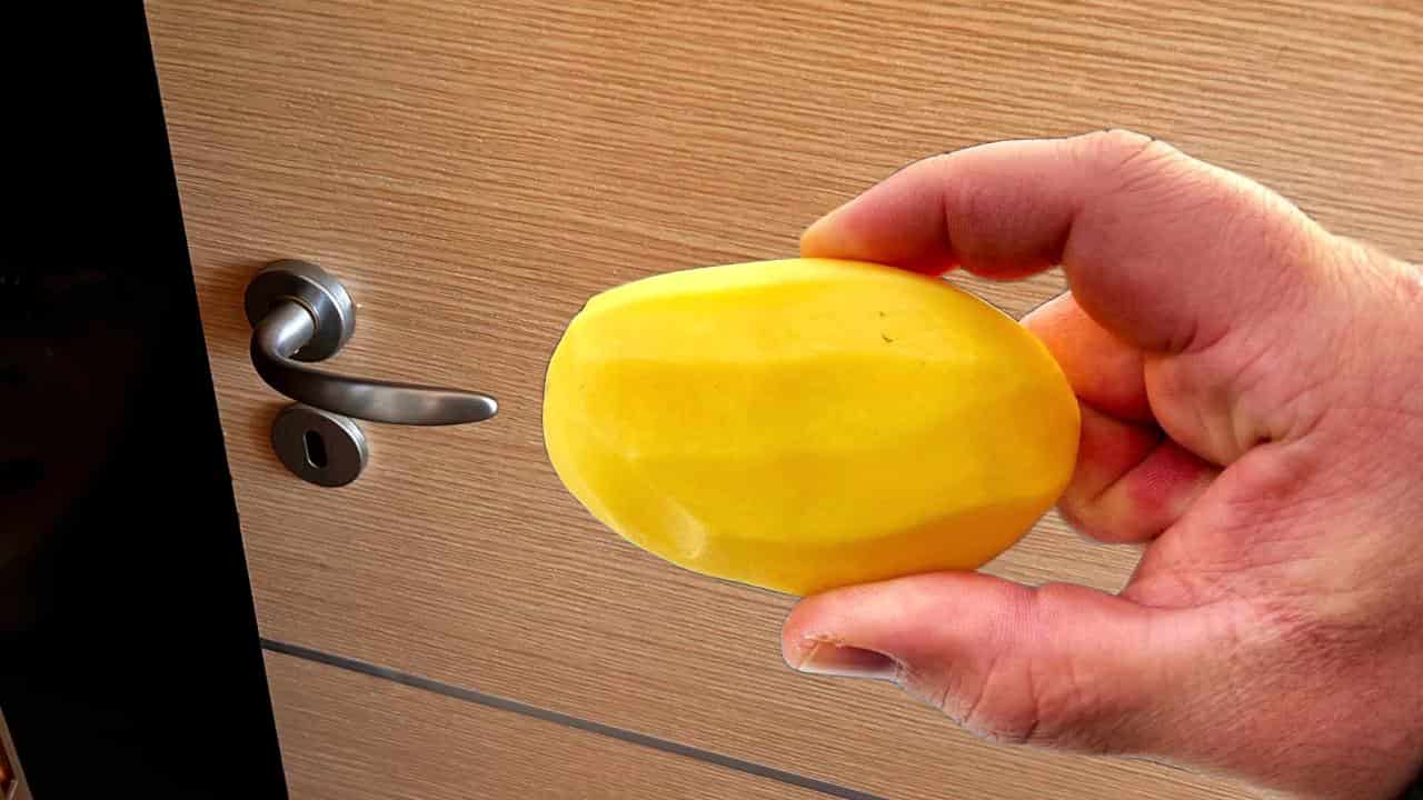 Pomme de terre sur la porte
