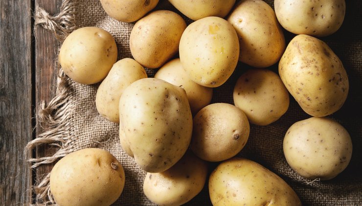 Pomme de terre