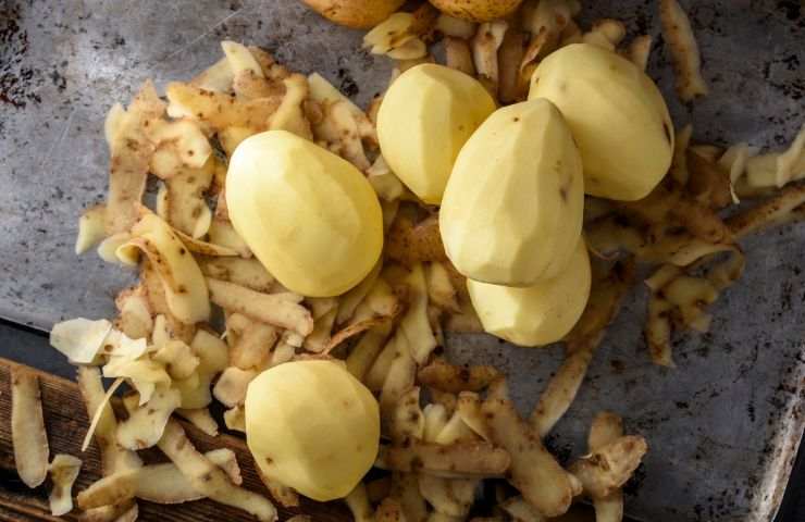 Pommes de terre épluchées
