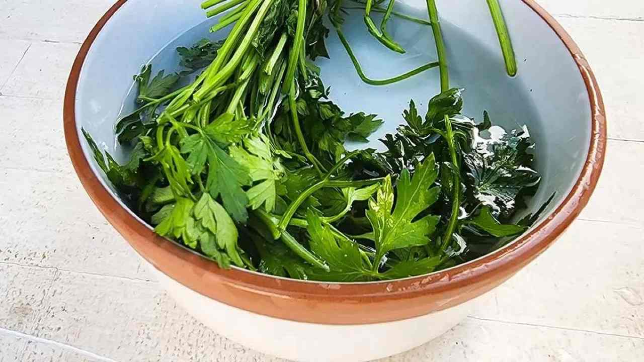 Prezzemolo in ciotola Persil en bol