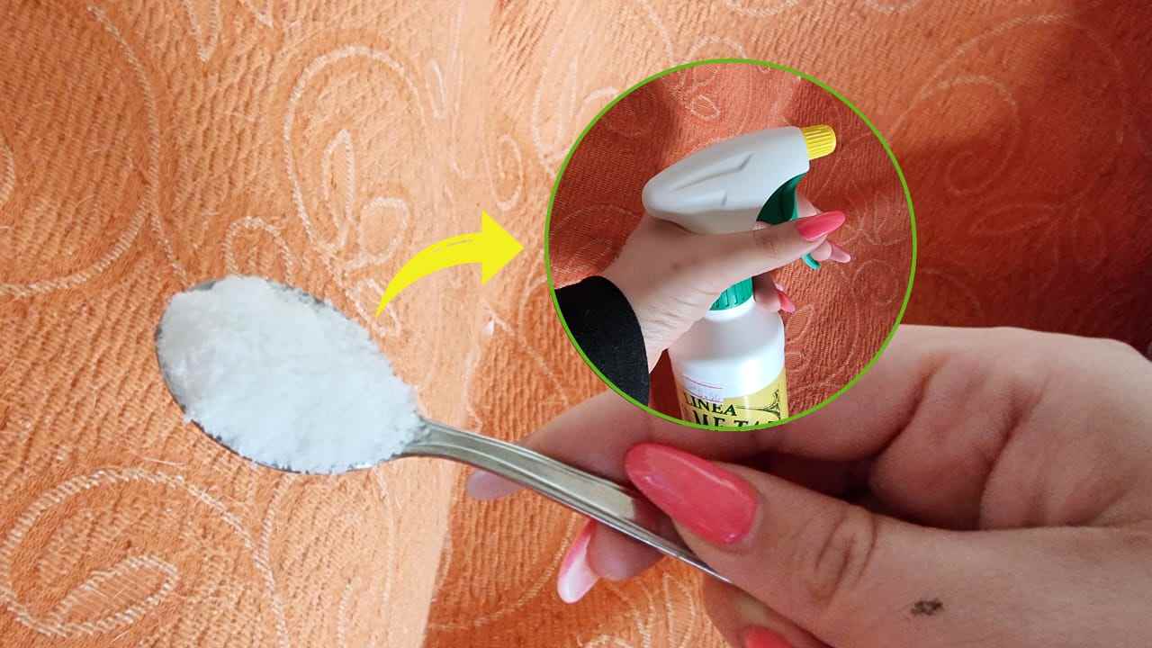 Pulire il divano Nettoyage du canapé