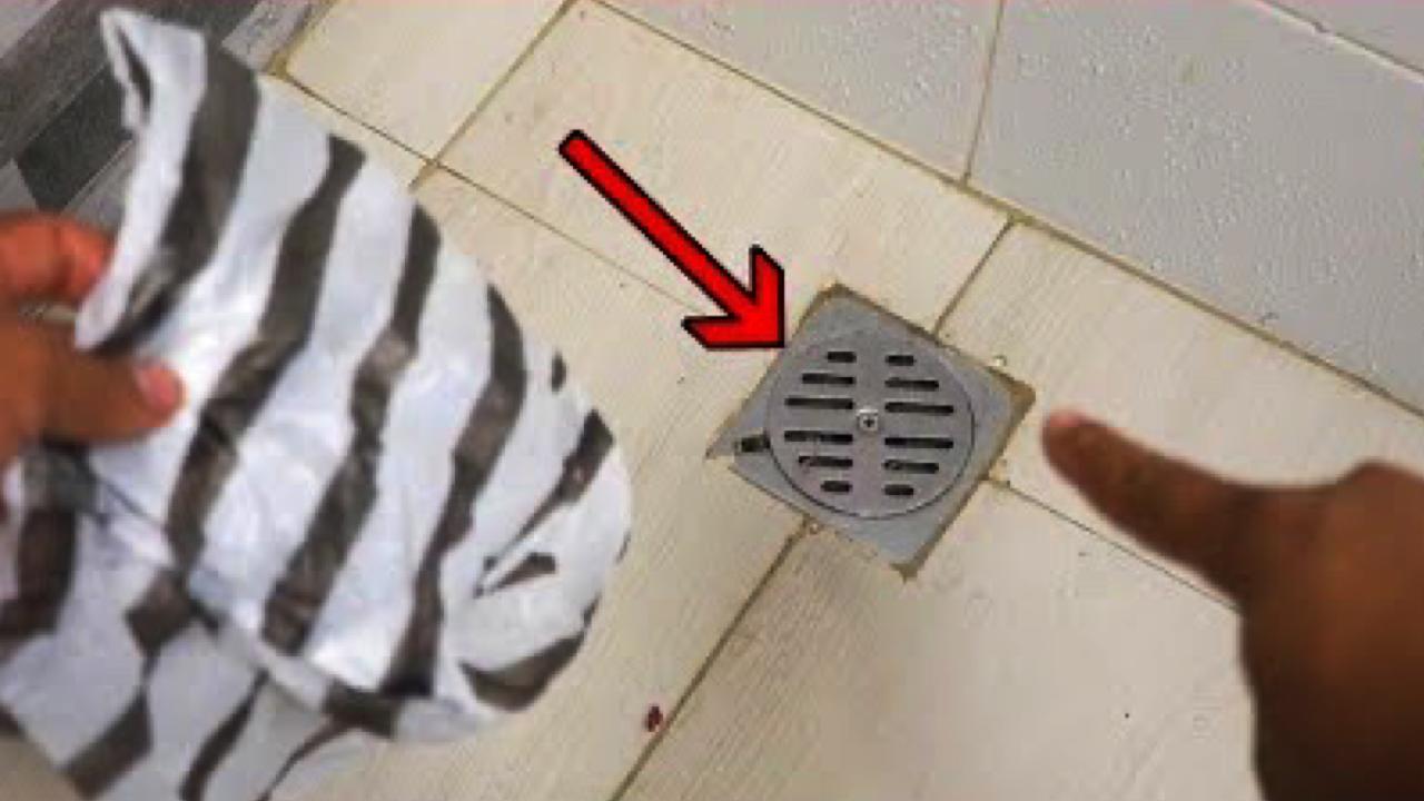 Drain de douche