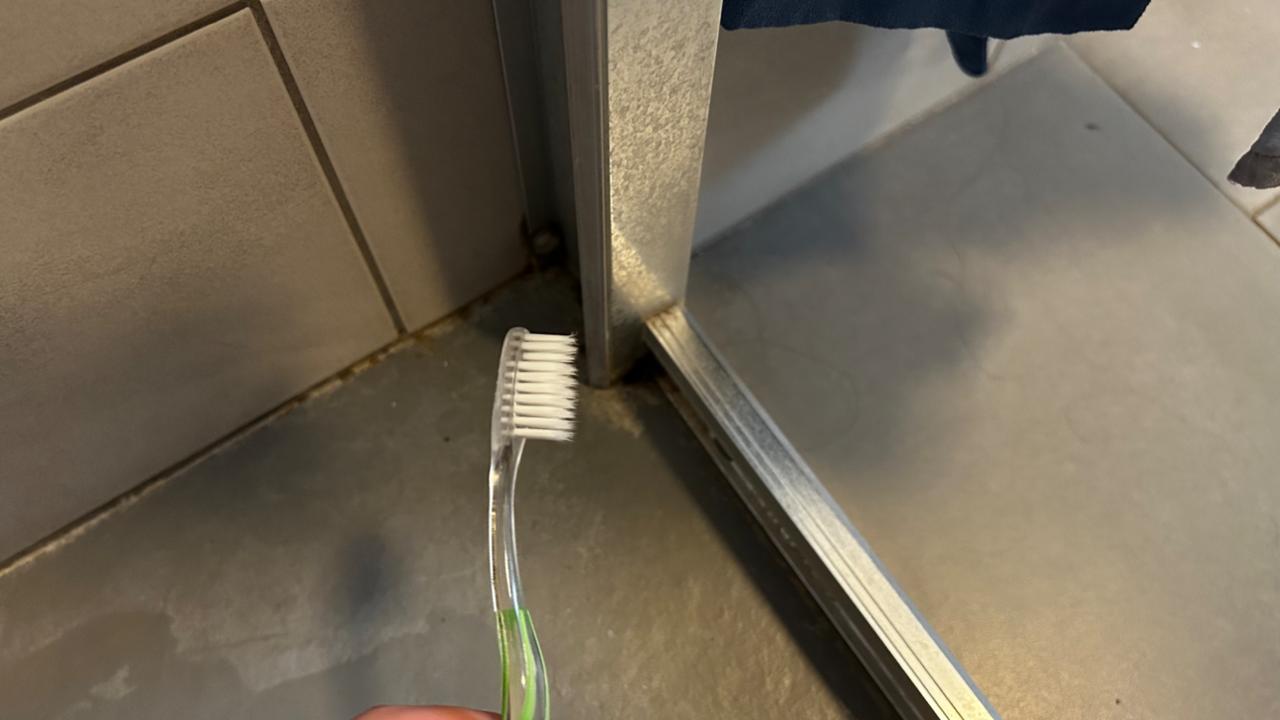 Brosses à dents sous la douche