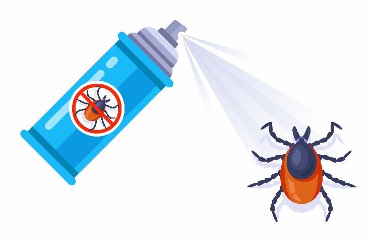 Spray anti-cafards