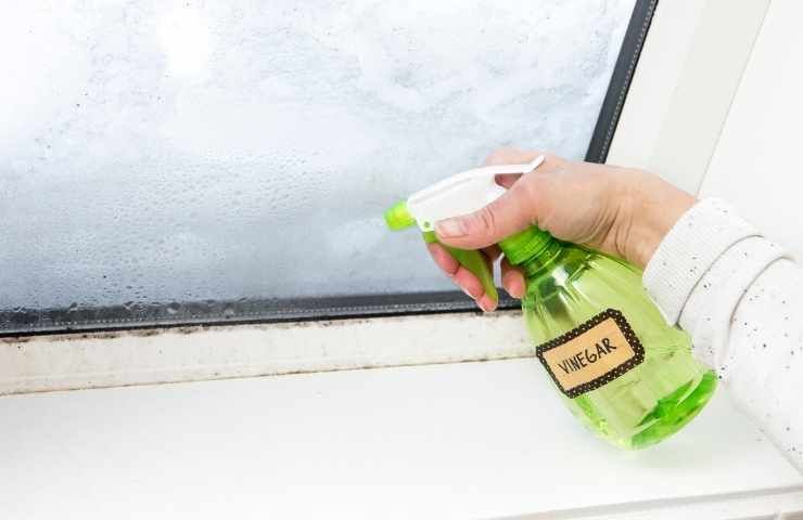 vinaigre blanc