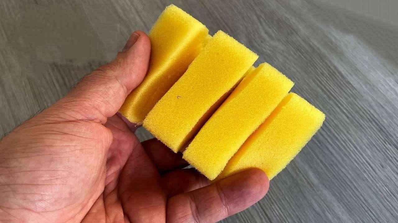 Spugna tagliata Éponge coupée