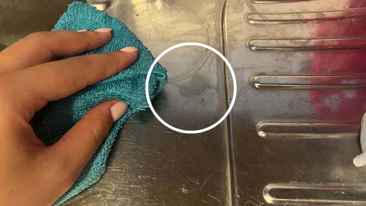 aloni e spugna halos et éponge