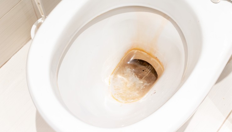 Come si forma il calcare Comment le calcaire se forme-t-il ?