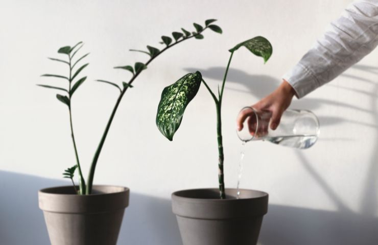 plantes d'élaboration de bicarbonate
