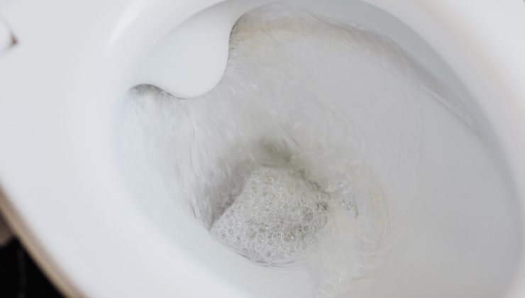 Pulire il wc Nettoyage des toilettes