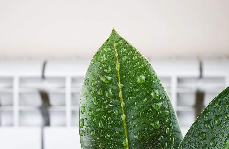 humidité dans la maison