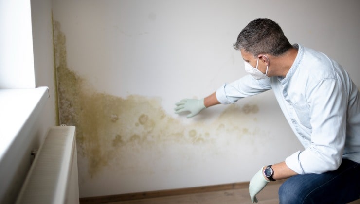 Macchie gialle sulle pareti Taches jaunes sur les murs