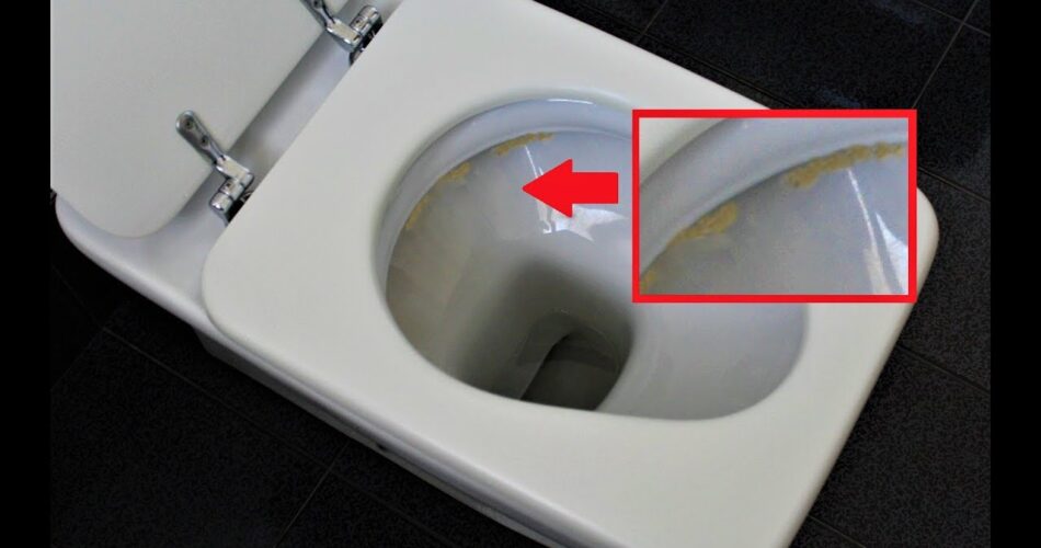 Toilettes impeccables comment préparer un nettoyant qui enlève le calcaire et le fait briller