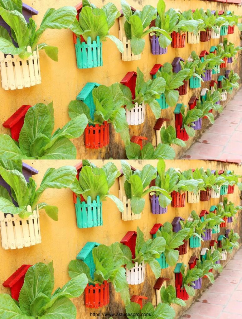 Jardin Potager Coloré Étonnant sur Mur, Cultiver des Légumes à la